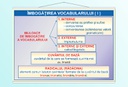 Îmbogățirea vocabularului (I) - 70x100