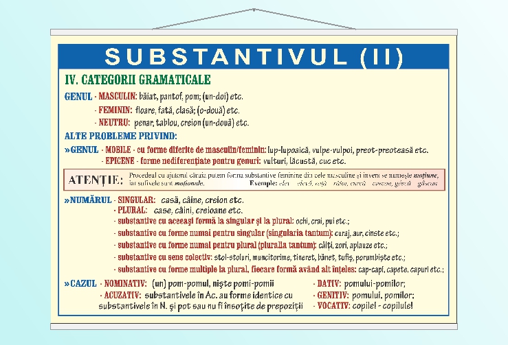Substantivul (II) - 50x70