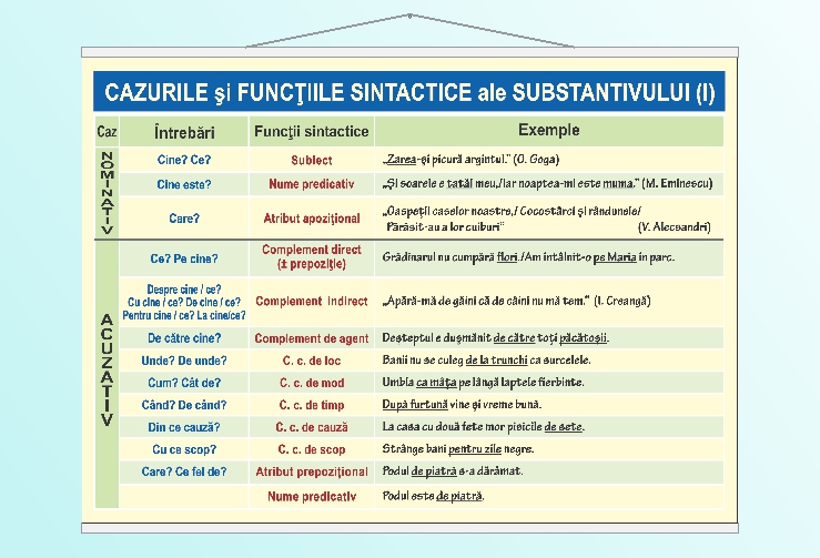 Cazurile și funcțiile sintactice ale substantivului (I) - 50x70