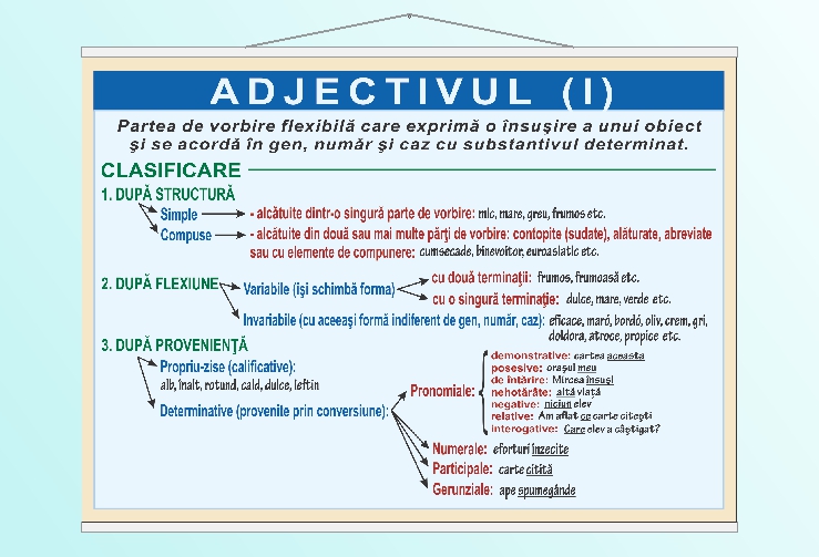 Adjectivul (I) - 50x70