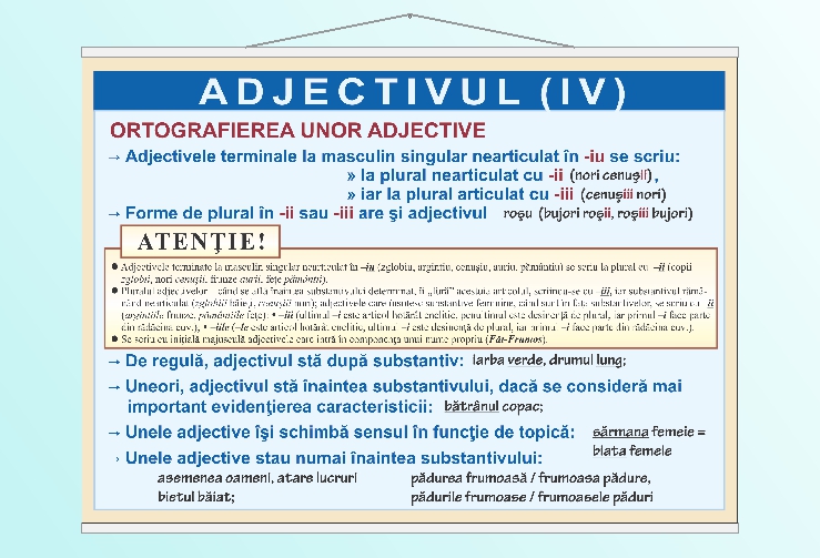 Adjectivul (IV) - 50x70