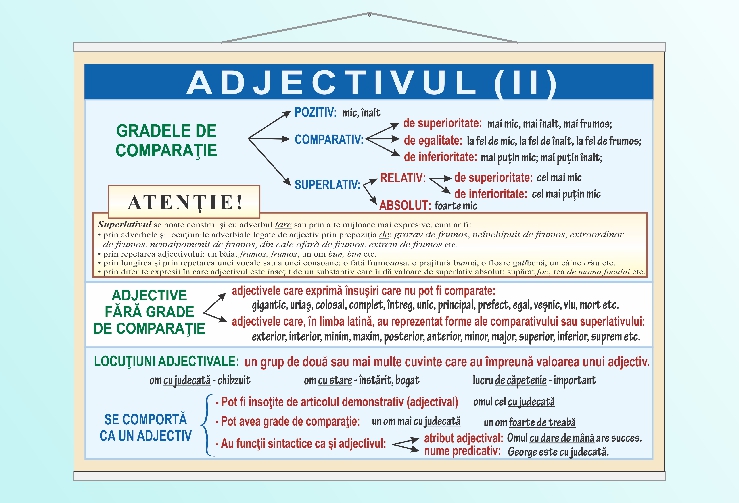 Adjectivul (II) - 70x100