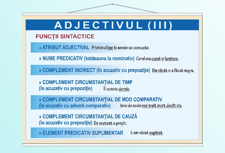 Adjectivul (III) - 70x100