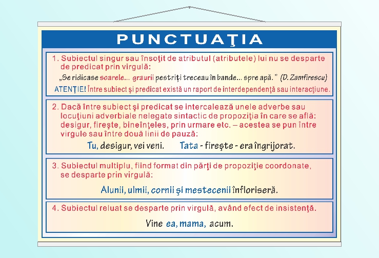 Punctuația - 70x100