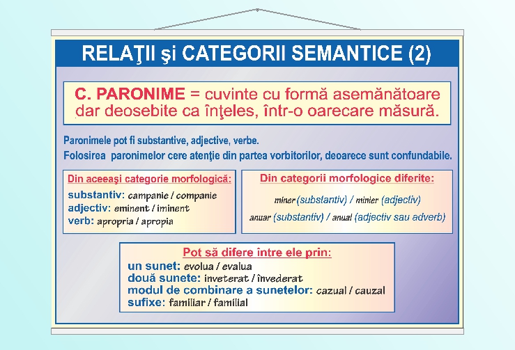 Relatii si categorii semantice - paronime - 70x100