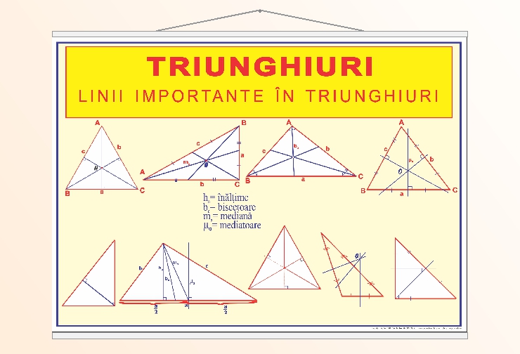 Triunghiuri. Linii importante în triunghiuri - 50x70