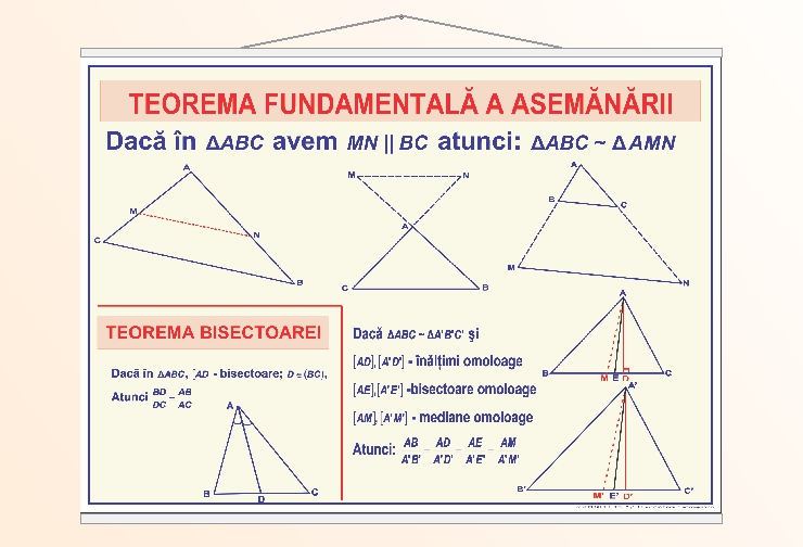 Teorema fundamentală a asemănării - 50x70