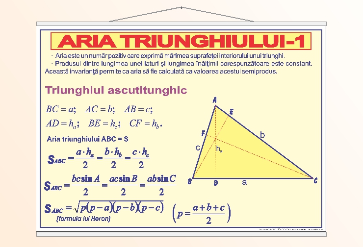 Aria triunghiului - 1 - 70x100