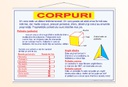 Corpuri - 1 - 70x100