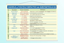 Cazurile și funcțiile sintactice ale substantivului (II) - 70x100