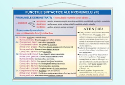 Funcțiile sintactice ale pronumelui (III) - 50x70