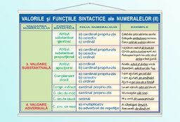 Valorile și funcțiile sintactice ale numeralului (II) - 70x100