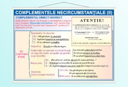 Complementul necircumstanțial (II) - 70x100