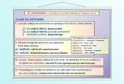 Relatii si categorii semantice - antonime - 70x100