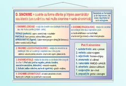 Relatii si categorii semantice - sinonime - 70x100