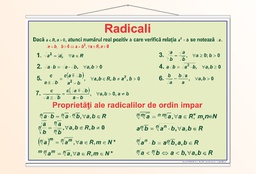 Radicali - 50x70