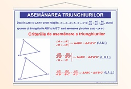 Asemănarea triunghiurilor - 50x70