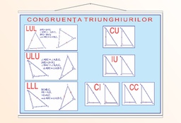 Congruența triunghiurilor - 70x100